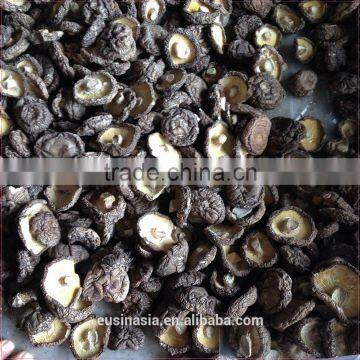new crop bigger sizes of dry shiitake mushroom