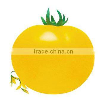 BigYellow Fruit Tomato Seed For Sale