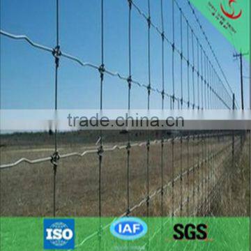 Factory best price Electro galvanized Field Fence