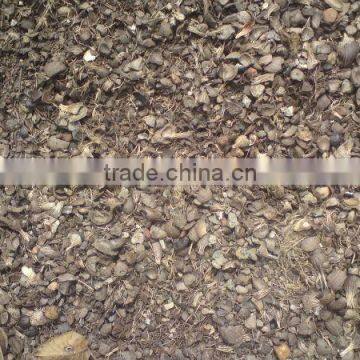 Palm kernel shell