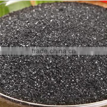 Seaweed extract Powder