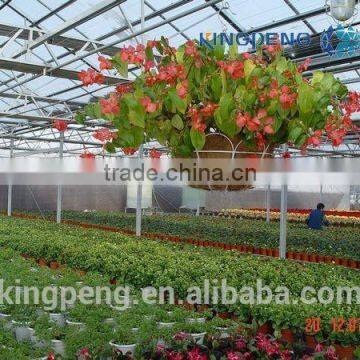 Greenhouse for Growing Flowers photo-5