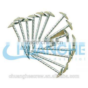 Wire Nails Manufacture in China photo-2