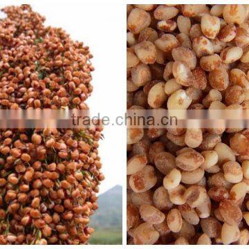 Automatic Grain Bag Filling Sealing Machine photo-3