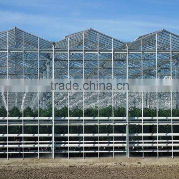 Hot Sale Large Size Multi-span Commercial Glass Covering Greenhouse photo-2