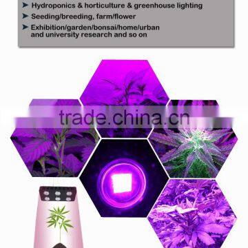 540W COB LED Grow Light Compare With HID Power Bloom Plus Mimics the Noon Day Sun photo-5