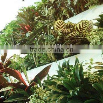 Home and Outdoor Decoration Synthetic Cheap Artificial Vertical Green Grass Wall E08 04Q66 photo-5