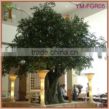 OEM GRC Trunk Banyan Tree Manufacturer photo-3
