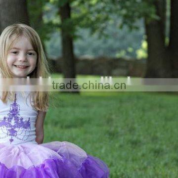 Hot Sale Cute Tutu Skirts Teen Pettiskirt Pettiskirt Outfit Cute Girls Skirt Chiffon Wholesale Pettiskirts Set for Girls photo-2