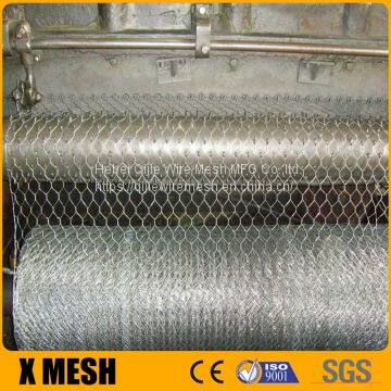 pvc coated hexagonal wire mesh / galvanized hexagonal wire mesh