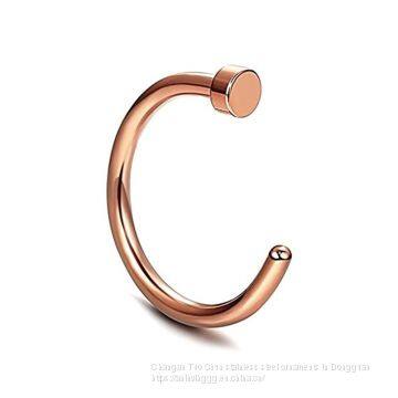 Wish Hot Shop Manufacturers Direct Ear Studs, Body Piercing Accessories, Earrings, Nose Studs, Nose Rings, Foreign Trade Ornaments, Titanium Steel. photo-2