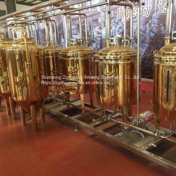 300L/ 2BBL Titanium Plating Stainless Steel Beer Fermentation Tank Beer Fermenter