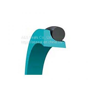 Trelleborg Busak+Shamban Turcon? Excluder?