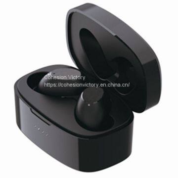 TWS Bluetooth Earphones