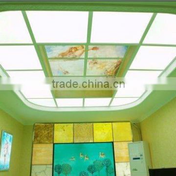 Led ceiling panel light