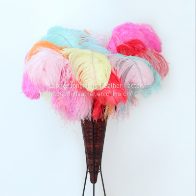 Natural 10-75cm Artificial Ostrich Feather for Party and Wedding Decoration photo-2