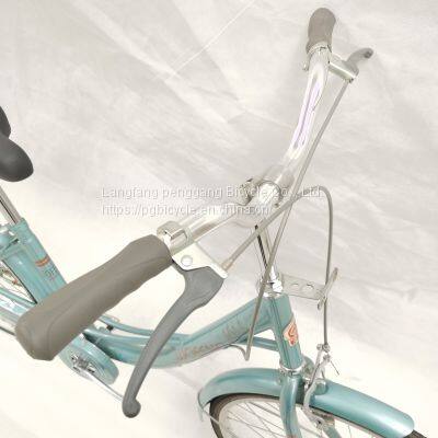 24/12inch Steel Single Speed Lady Bike City Bike