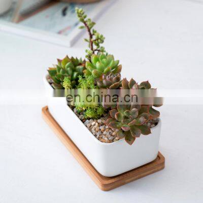 Wholesale Chaozhou Set Plant Humanoid Giant Succulent Planter Pot Ceramic 14 Inch