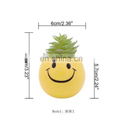 Amazon Cute Emoticons Indoor Artificial Faux Potted Variegated Plants Haworthia Succulent Cactus Plants Potted Bonsai