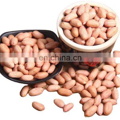 Exporters of Quality Peanuts Groundnuts Wholesale Fresh Style and Common Cultivation Type dried peanuts