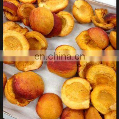 Vacuum Freeze Drying Equipment Freeze Dried Fruit Machine photo-5