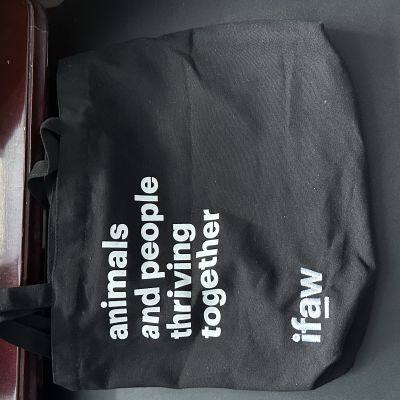 Exhibition Using or Shopping Using Light Weight Wool Felt/Canvas/Linen OEM Stylish Tote Bag photo-5