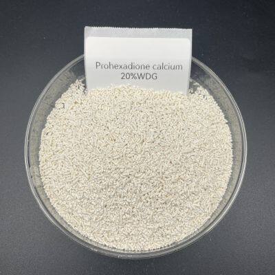 Горячее предложение! Пестицид Прогексадион кальция 20% ВДГ. Растительный регулятор роста высокого качества photo-1