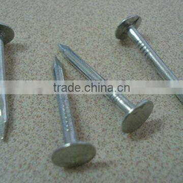 Big Head Clout Nail photo-4