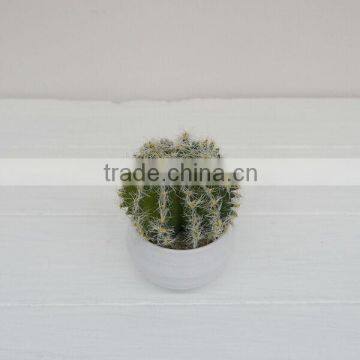 Good looking real touch artificial plants PE foam cactus wholesale