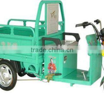 500W electric three wheeler cargo trike Loong 11F