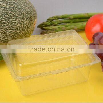 eco-friendly disposable plastic plastic fruit tray