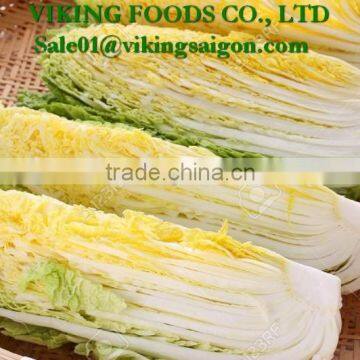 *Special _ Fresh Napa Cabbage _ From Vietnam*