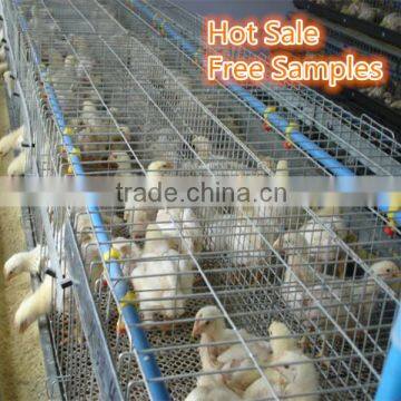 chicken wire used in chicken farm /china supplier for high quality and cheap fence /aluminum chicken wire