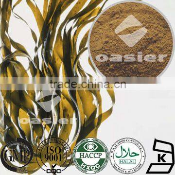 Chinese Natural Vegetable Extract Kelp Fucus Extract 0.1-0.3% iodine powder Cancer Prevention