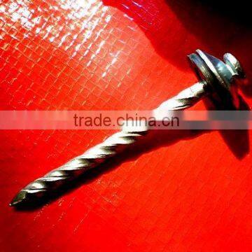 zimbabwe market twisted nails