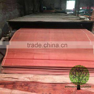 Veneers Type and Rotary Cut Technics Plb photo-2