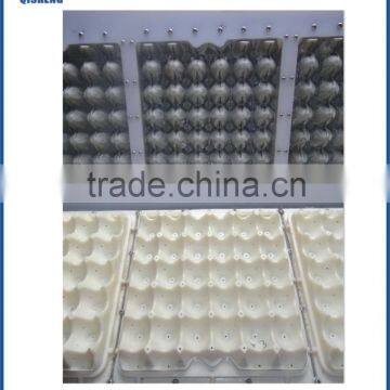 Semi Auto Egg Tray Machine photo-2