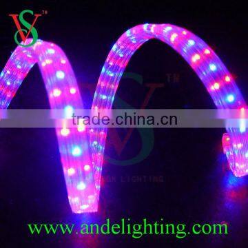 High Quality Christmas Light Led Rope Light for Outdoor Use photo-6