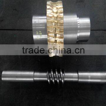 OEM Customized Gear Bronze Brass Worm Gear and Worm Shaft photo-6