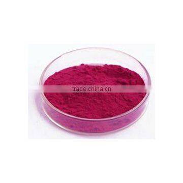 Blueberry Extract Powder