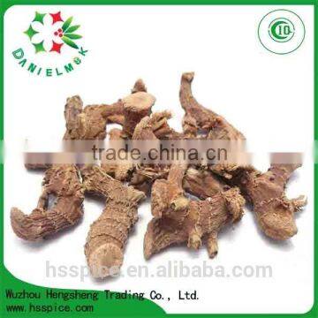 Lowest Price Premium Dried Galangal Roots