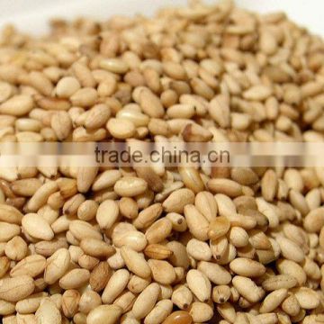 Roasted sesame seeds , roasted white / black sesame seeds