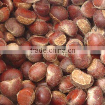 Sweet Chestnut Wholesales Price Shandong Crop and Dandong Crop photo-3