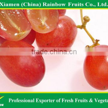 Globe Price Of Chinese Fresh Red Globe Grape