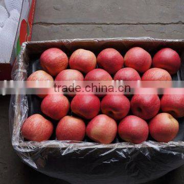Yantai Apple photo-5