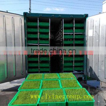 Maize growing system green sprouts fodder making machine/Green Maize Fodder Machine/Green Corn Fodder Machine