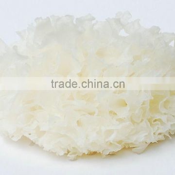 2015 Hot Selling Snow Fungus Nourishing Soup Material