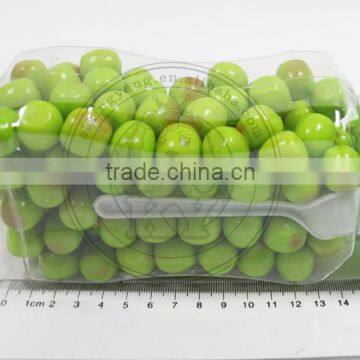 2.5g SM Green Apple Shaped Bubble Gum In Jar photo-4
