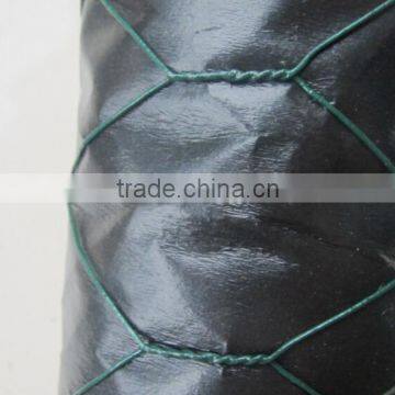 PVC Coated Hexagonal Chicken Wire Mesh Netting photo-2