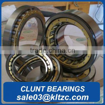 SL open type cylinderical roller bearing SL185015